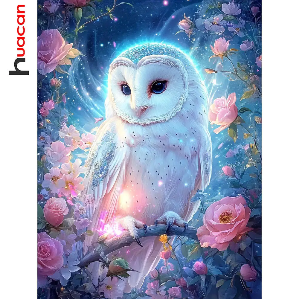 

Huacan Сова животное алмазная живопись цветок Алмазная мозаика новая коллекция 2025 изображение страз