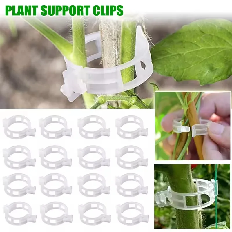 20Pcs Plant Clips Supports Reusable Plastic Connects Fixing Vine Tomato Stem Grafting Vegetable Plants Orchard Garden Tools Set