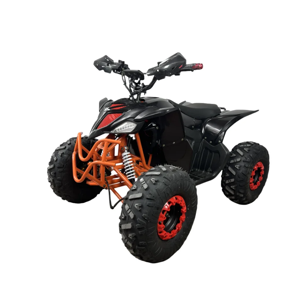 

Новая модель электрического квадроцикла 4WD с ручным приводом вала и сертификацией CE для молодых людей