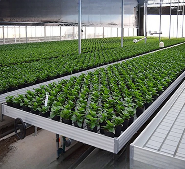 2025อุปกรณ์Hydroponic RollingตารางGrowth EbbและFlow DownตารางเรือนกระจกการเกษตรLogistics Seedbed Bench