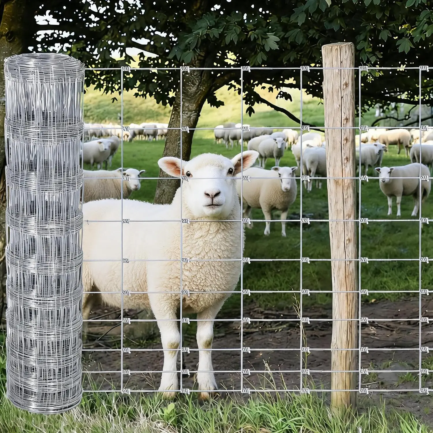 Farm Fence 6ft x 328ft Galvanized Wire Cattle Fence for Livestock Deer Goat Hog,14 Gauge Rustproof Barrier for Cattle, Deer, Goat, Yard & Pasture Livestock Protection