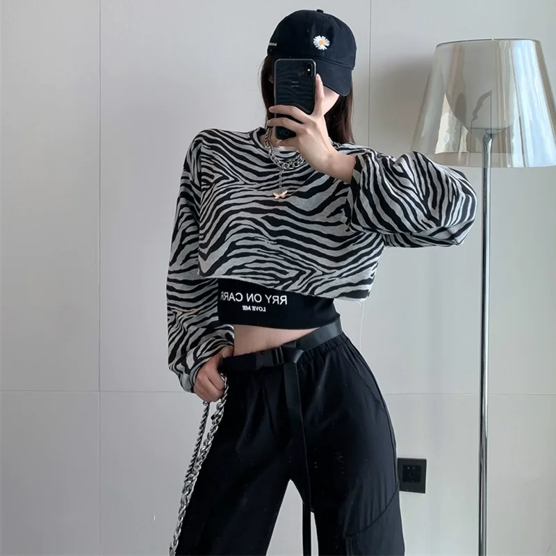 Saliency Fashionable Women's Autumn Pullover Loose Long Sleeve T-shirt Zebra Print Crop Tops Y2k Two Pieces