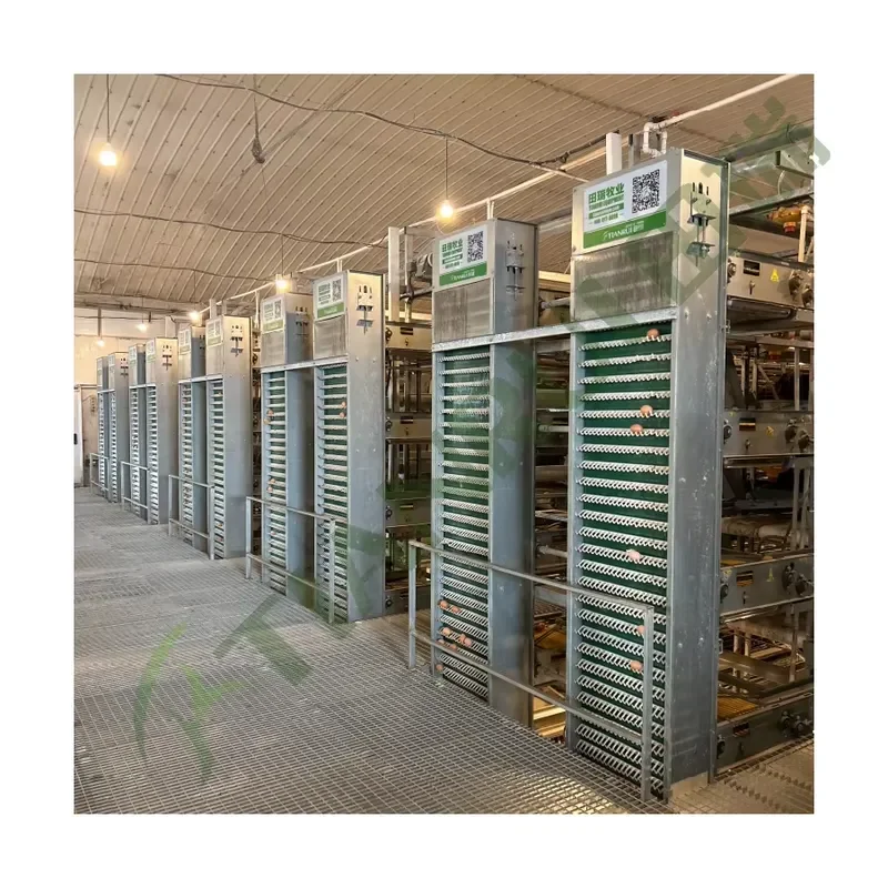 Automatic New Layer Poultry Farming Hot Dip Galvanized H Type Battery Chicken Laying Hens Cage for Farm Equipment