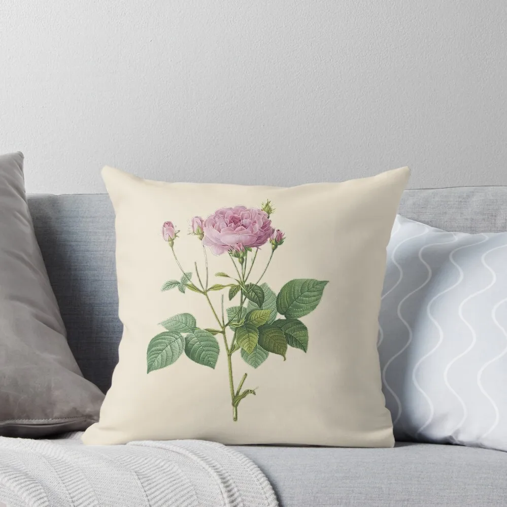 

Vintage Rosebush of France Art - Pierre-Joseph Redouté Throw Pillow Elastic Cover For Sofa pillow