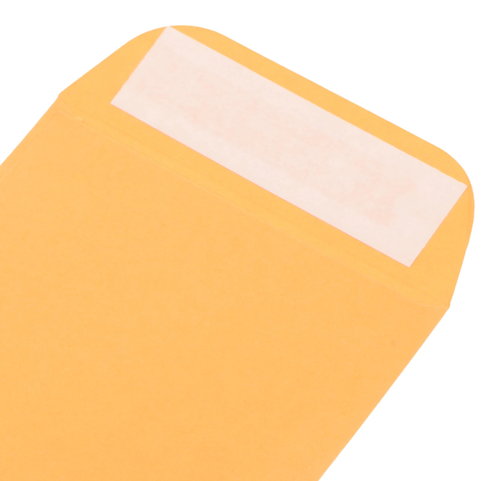 

100 Pcs Plant Seed Paper Bag Flower Seeds Envelope Kraft Envelopes Small Storage