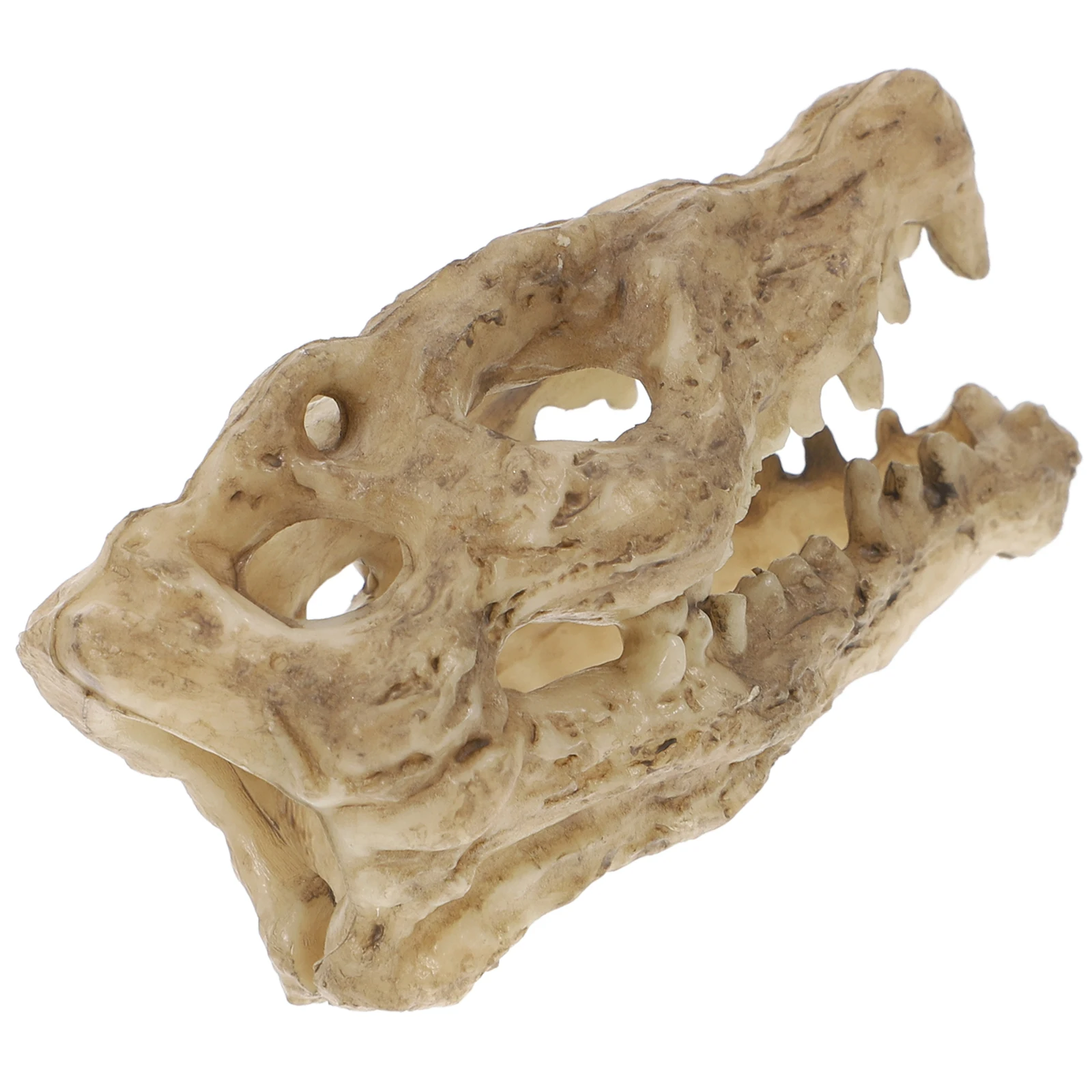 

Decorative S Reptile Tank Breeding Box Fish Resin Aquarium Leopard Gecko Accessories Crocodile Skull Figurine Lifelike Natural