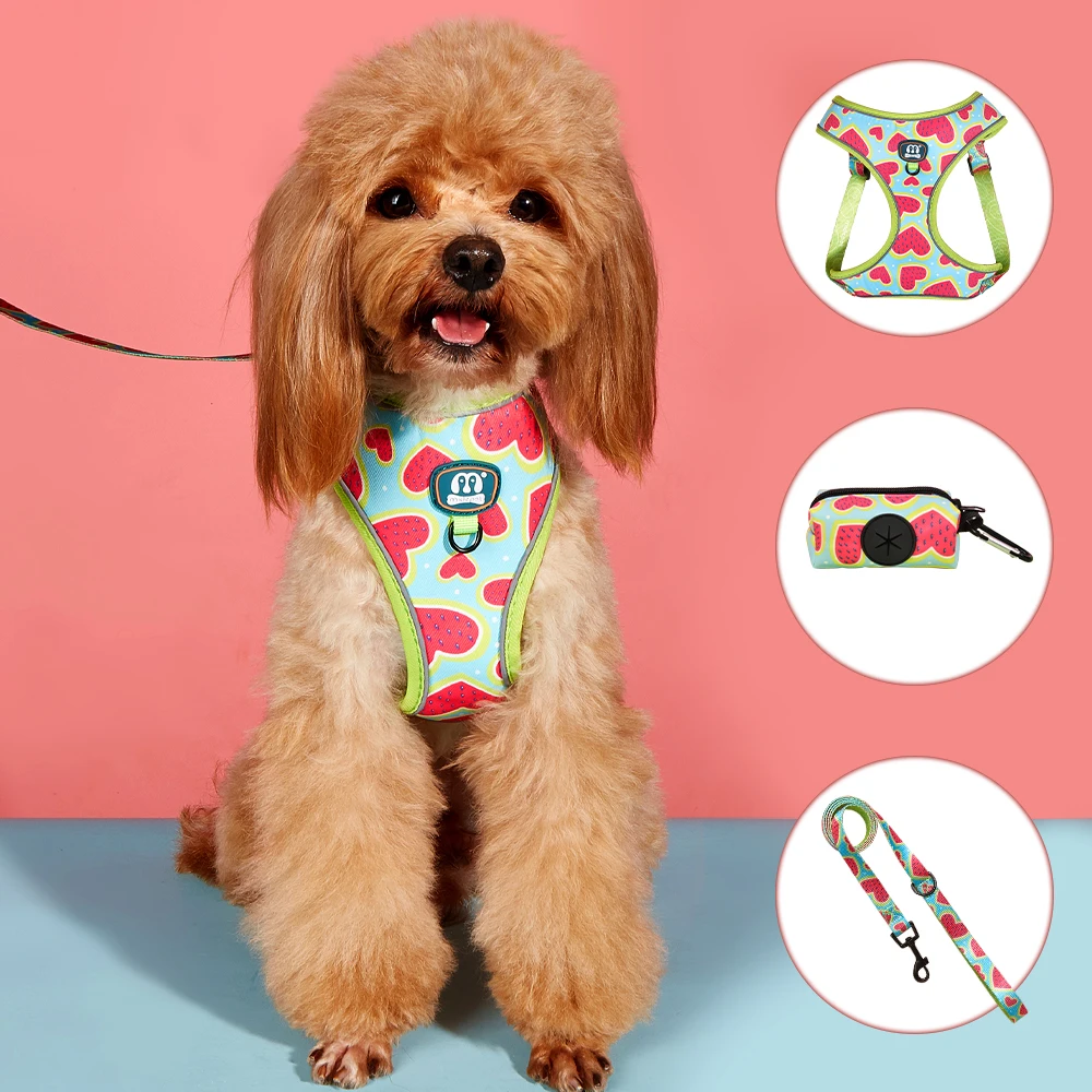 3-pcs-set-melancia-amor-alta-qualidade-cao-harnes-trela-com-coco-saco-titular-conjunto-forro-macio-respiravel