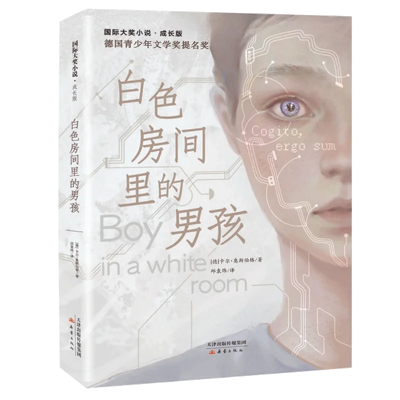 

Мальчик в белой комнате (издание «Выбеденный рост») — Роман А Я