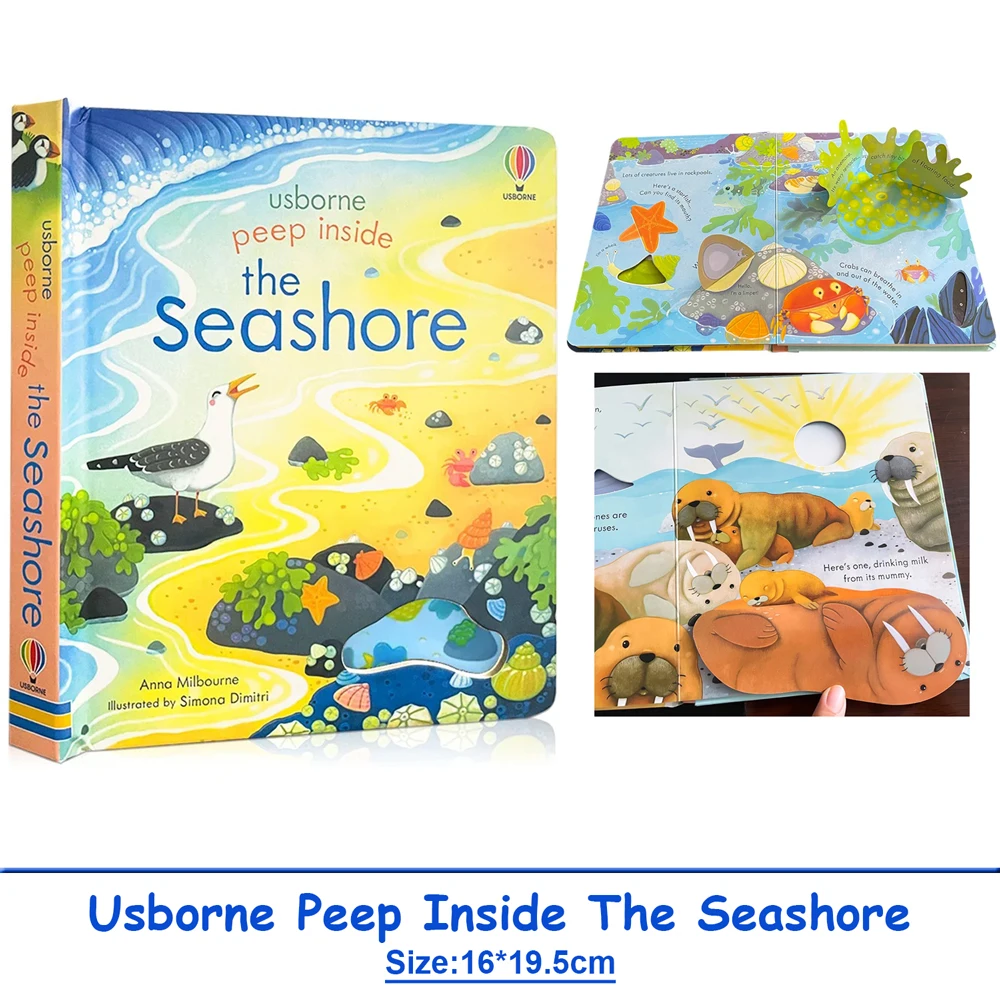 Usborne Peep Inside The Seashore ثلاثية الأبعاد رفرف كتاب صور مونتيسوري التعليمية الإنجليزية كتب للأطفال الطفل القراءة وقت النوم