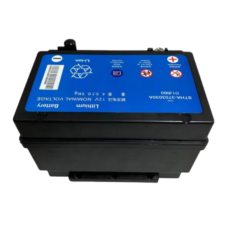 

Suitable for Byd Qin Pro, Han Ev, Dengzha X Song Pro Starter Battery, Low Voltage Battery E6H-3703030C E6H-3703030A