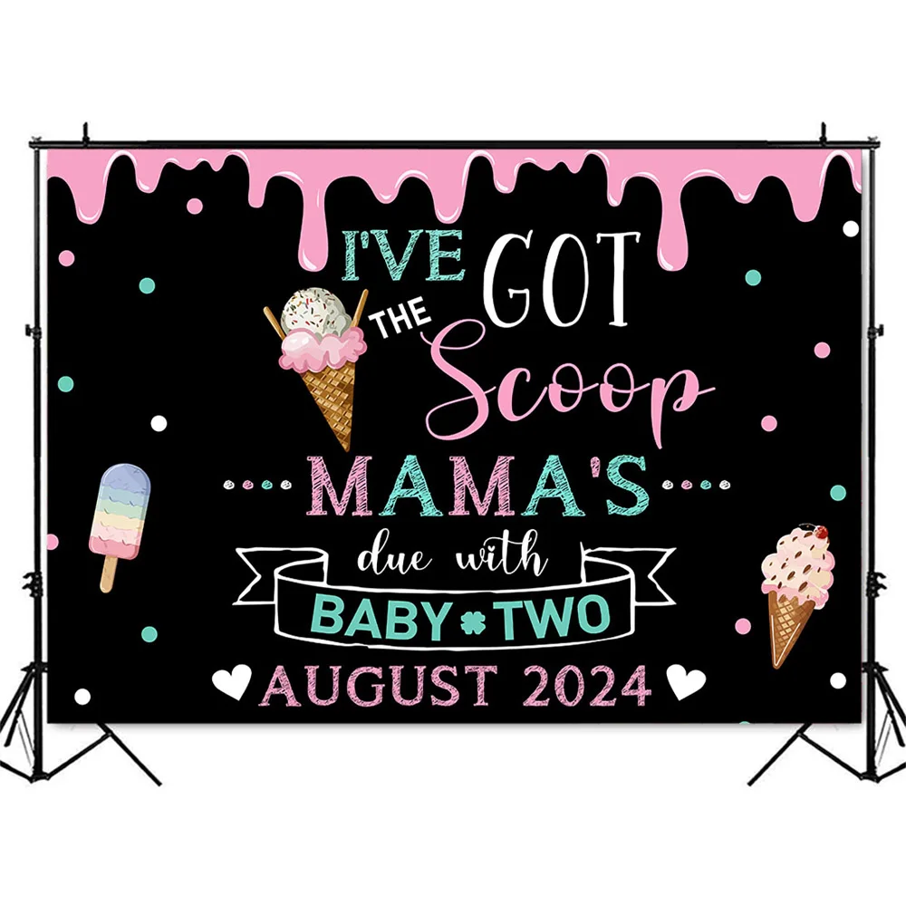 I've Got the Scoop Ice Cream Pregnancy Announcement Chalkboard Backdrop Pink and Blue Baby Number 2 Photo Background Prop Custom