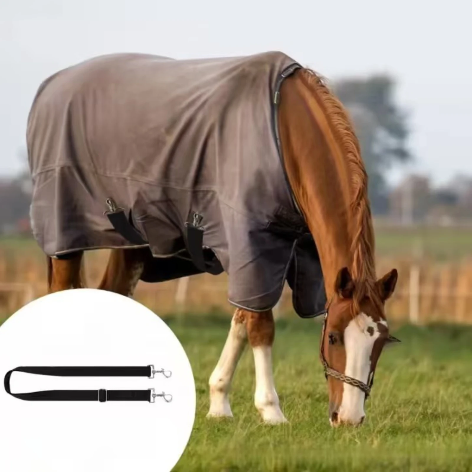 Horse Blanket Strap Pair Black Horse Blanket Strap Equestrian Gear Buckle-Style Replacement Set