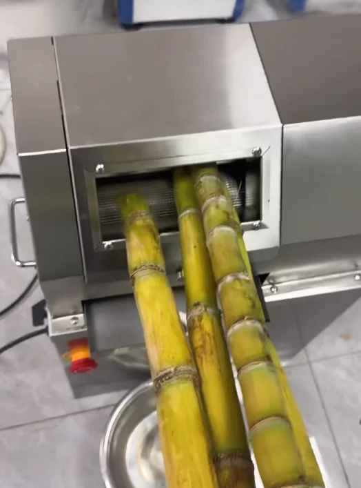 Commercial Electric Sugar Cane Juicer With Large Rectangular Feed Inlet Stainless Steel Sugarcane Juice Extractor For Fruit Shop