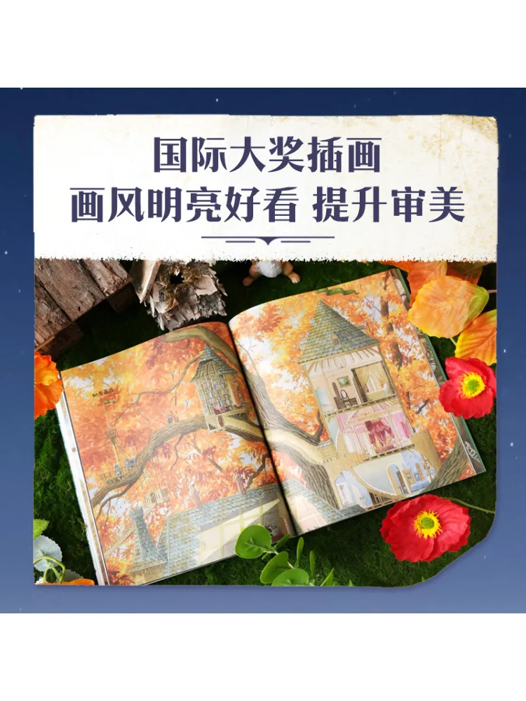 Book-Winshare Little Lighthouse Award International Novel Phonetic Edition Gift Box Adventure Stars 10 مجلدات