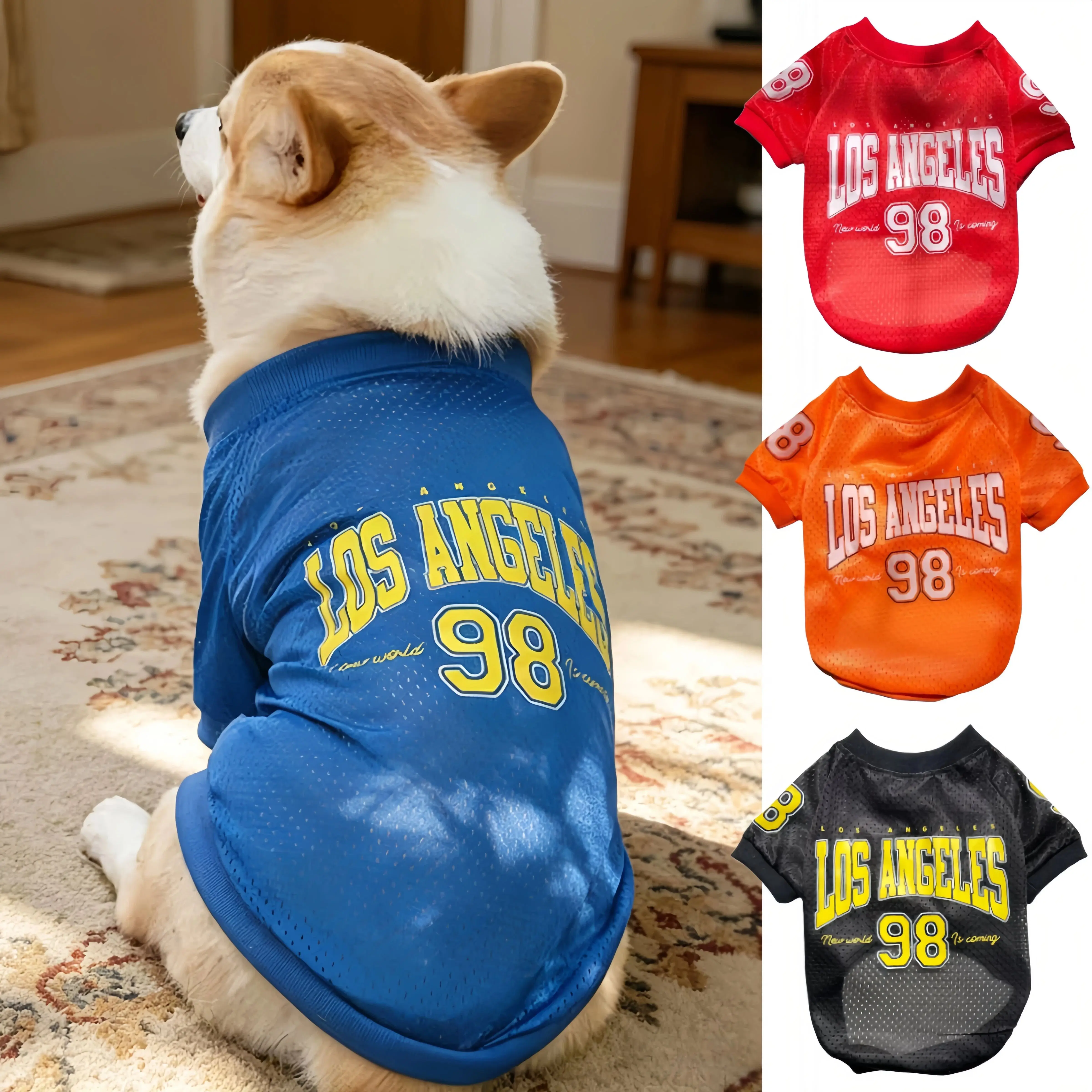 #44 Cheapest Dog Apparel Deals You Can Get