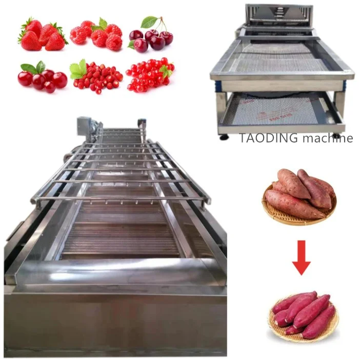 Malaysia	automatic radish cleaning machine	clean bubble wash machine	fruit and vegetable wash radish cleaning machine