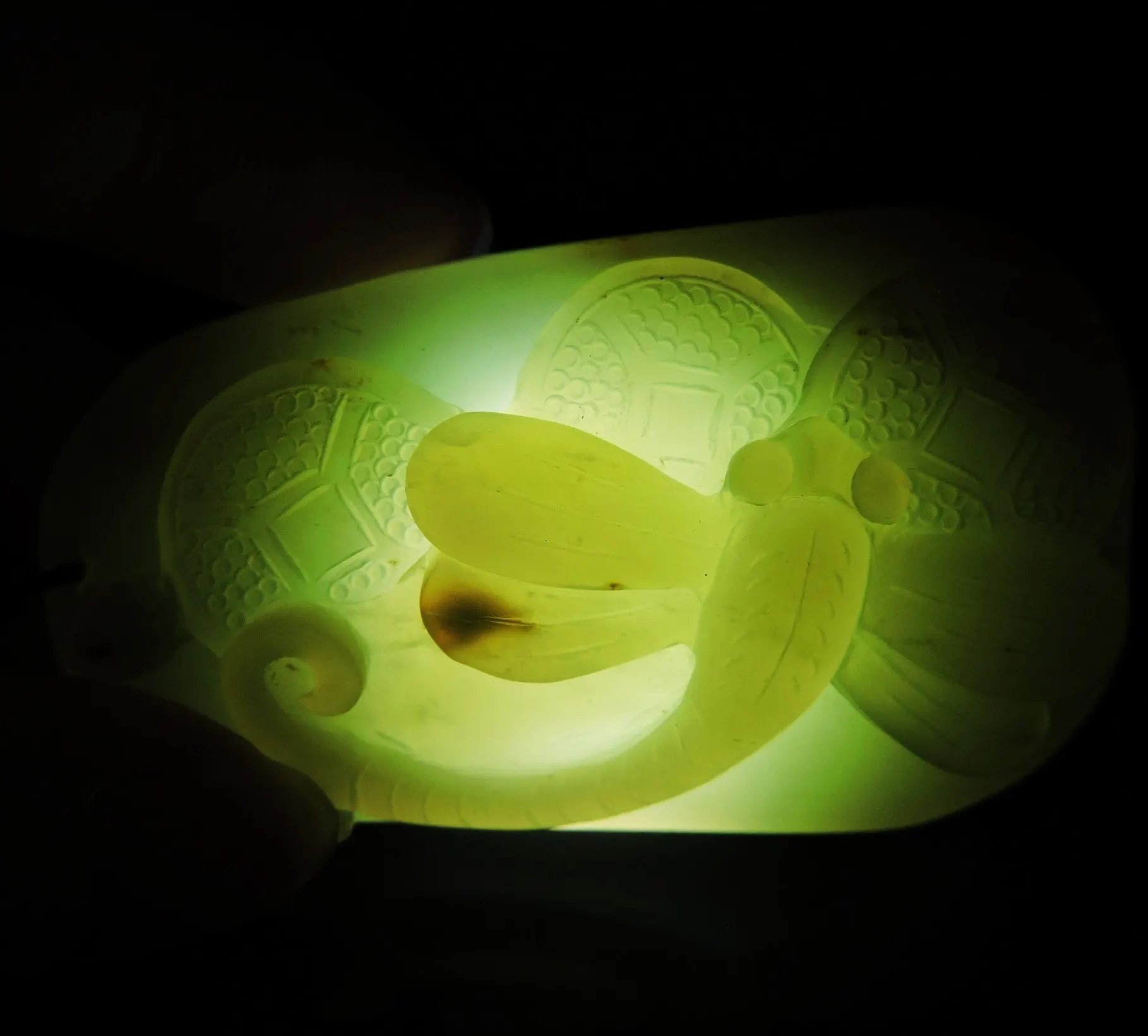 Jade Jewelry Natural Jade Pendant Necklace Hand-Carved dragonfly&coin Jadeite Necklace Pendant Gift No Treatment 771i