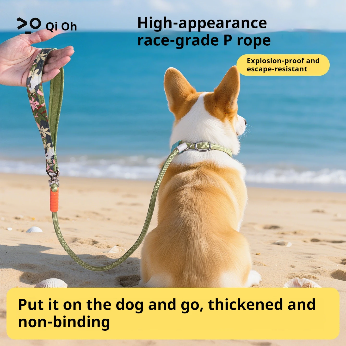 P Rope Dog Leash for Small Dogs Out Walking Chain Explosion-proof Impact Knotted Pet Leash Cross Body Wearable Dog Leash