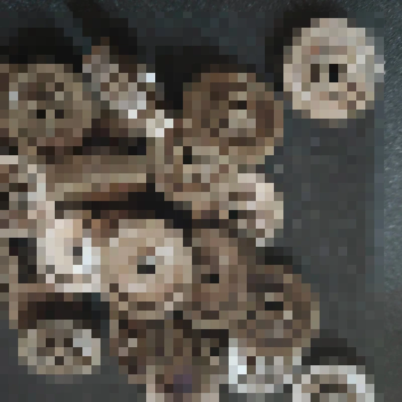 

10 шт. приводных шестерен для фьюзера 2235 для KYOCERA P2235 P2040 M2135 M2635 M2735 M2835 M2040 M2540 M2640