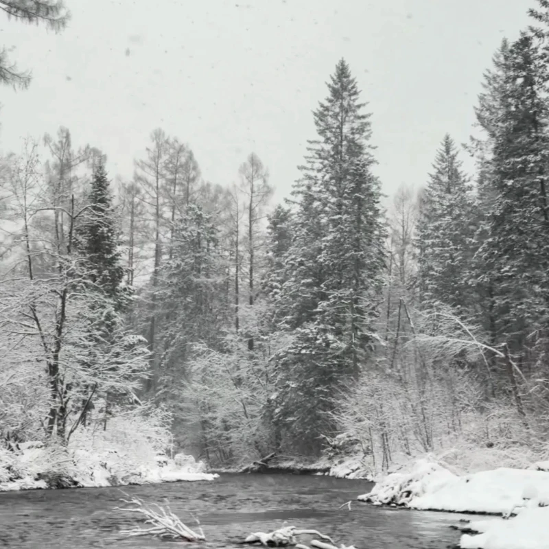 

IFlight BOB57 2506 1500KV 6S FPV Motor with 5mm Shaft Professional Freestyle Race Brushless Motor for FPV Spare Parts