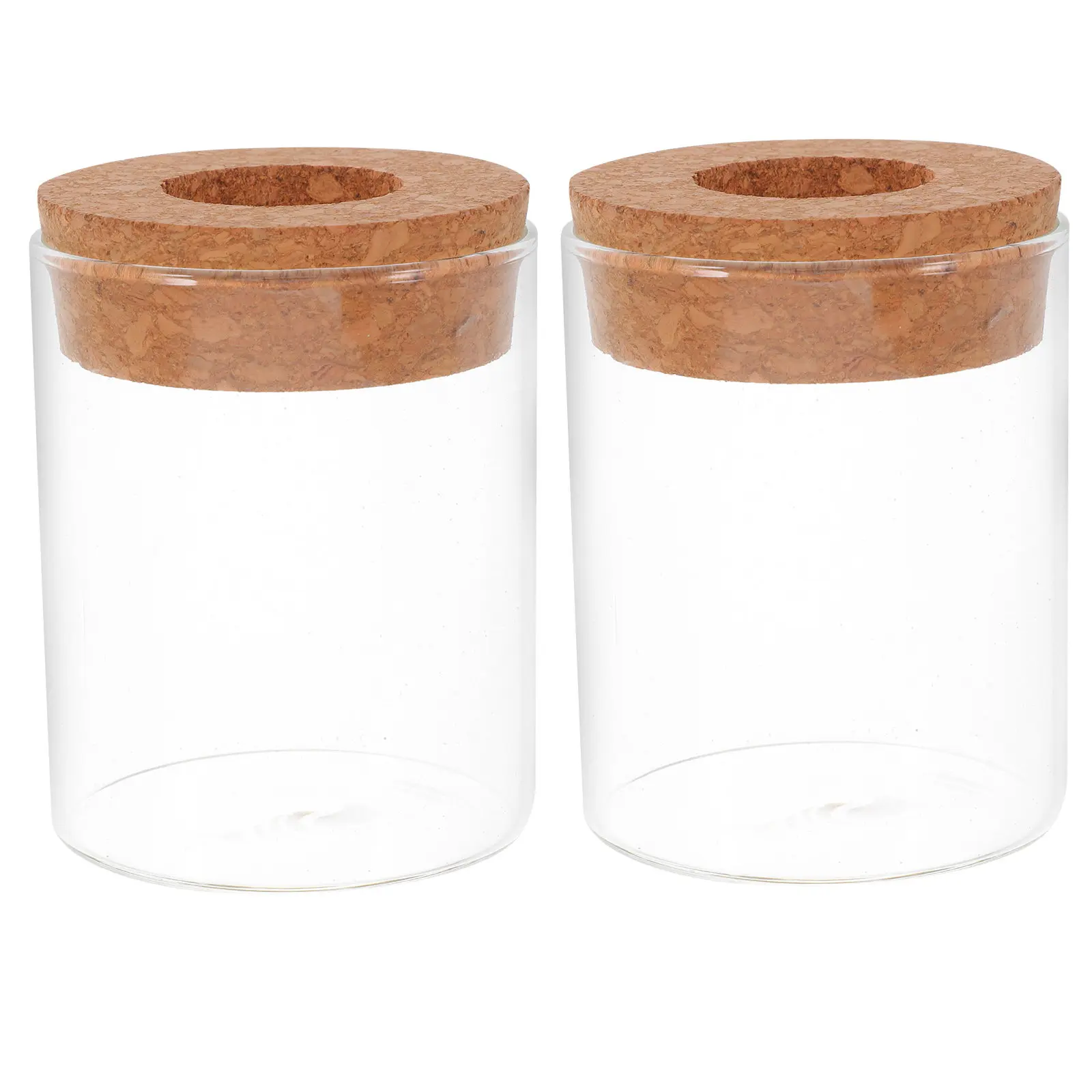 2Pcs Hydroponic Plant Vase Clear Glass Terrarium Jar for Desktop Decor Micro Landscape Air Purifying Propagation Planter Small