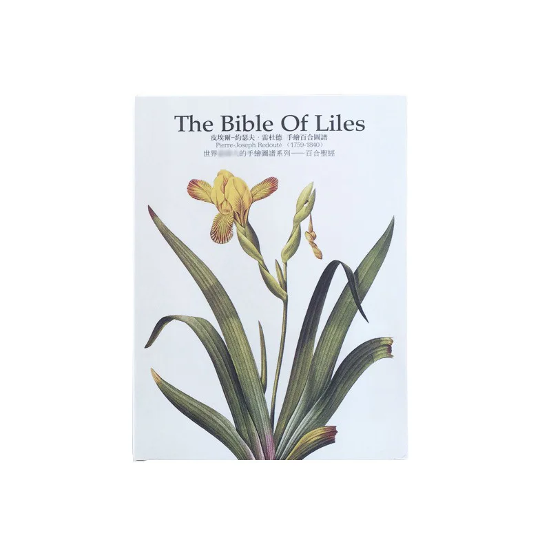 32 Sheets/Set The Bible Of Liles Large Paper Postcard/Greeting Card/Message Card/Christmas and New Year Gift Card