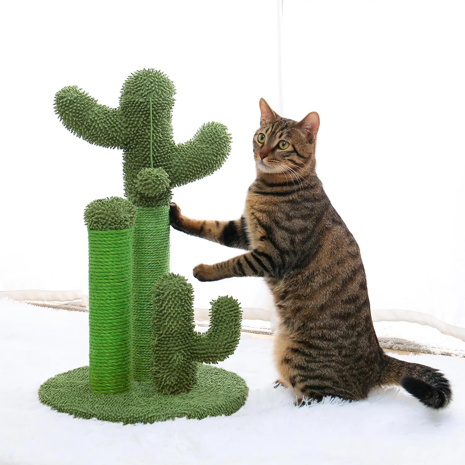 

Cactus Cat Scratching with 3 Poles & Dangling Ball - Interactive Scratcher for Cats