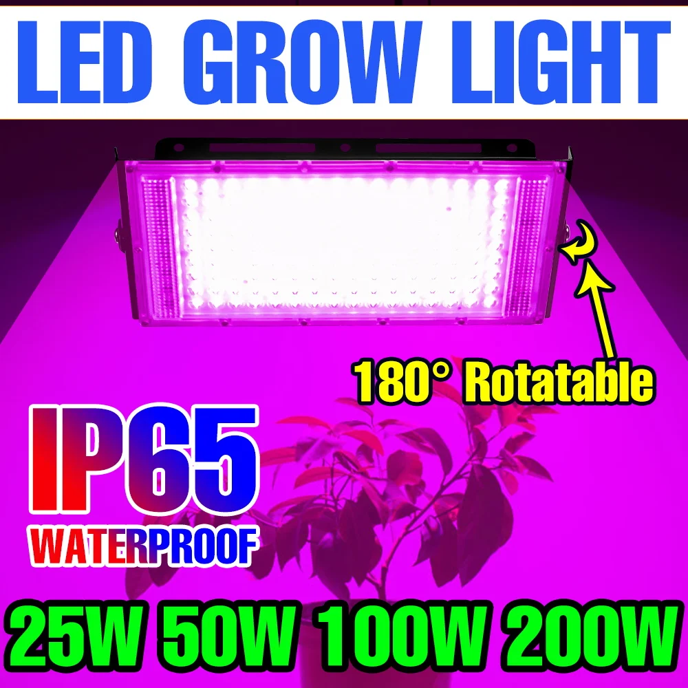

200 Вт светодиодный полный спектр света для выращивания растений 220 В тепличная лампа для растений палатка сочный комнатный цветок гидропонное заполняющее освещение 100 Вт 50 Вт 25 Вт