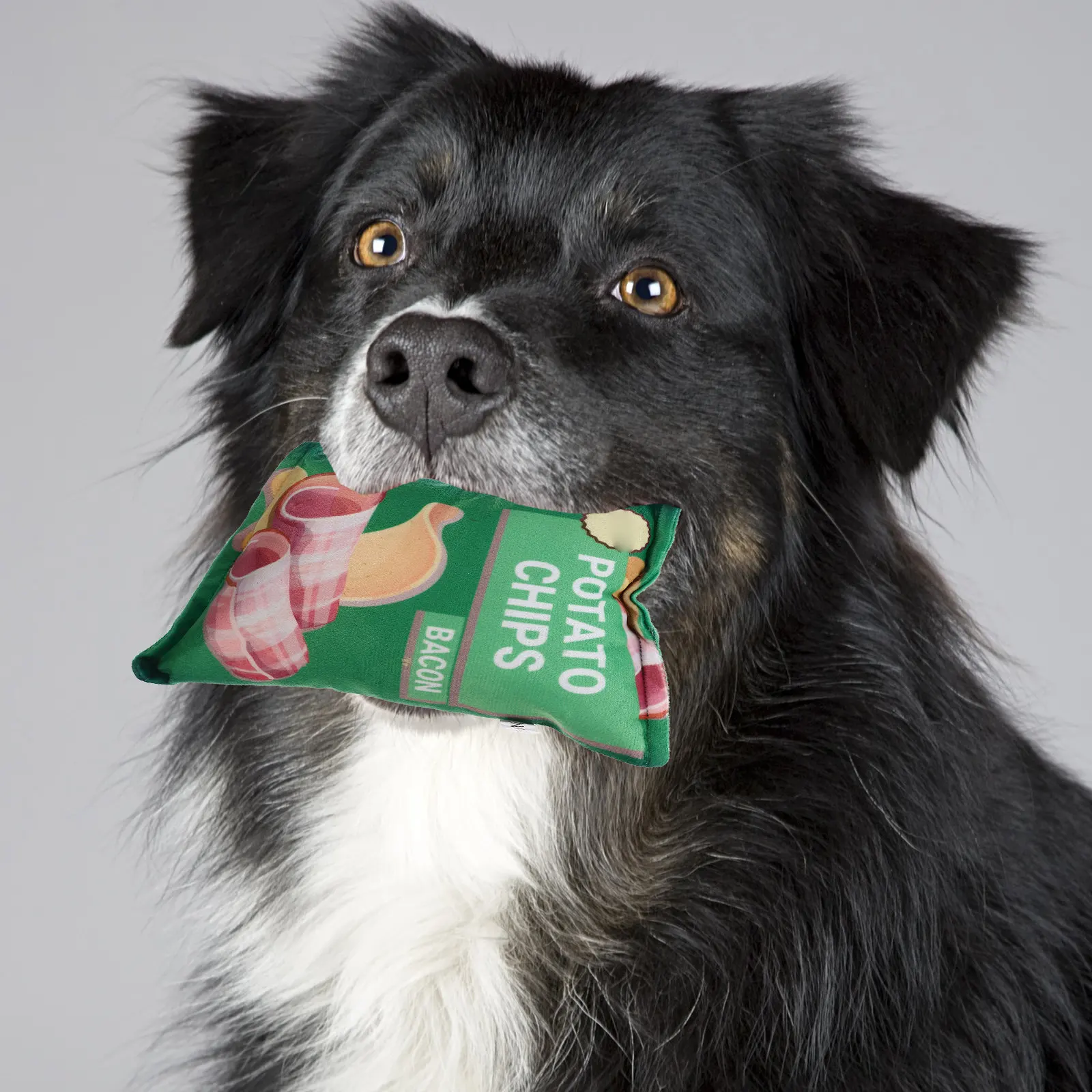 2Pcs Pet Sounding Chewing Household Molar Playthings Portable Potato Chips Bag Shape Dog Supply Play Pet Sounding Toy