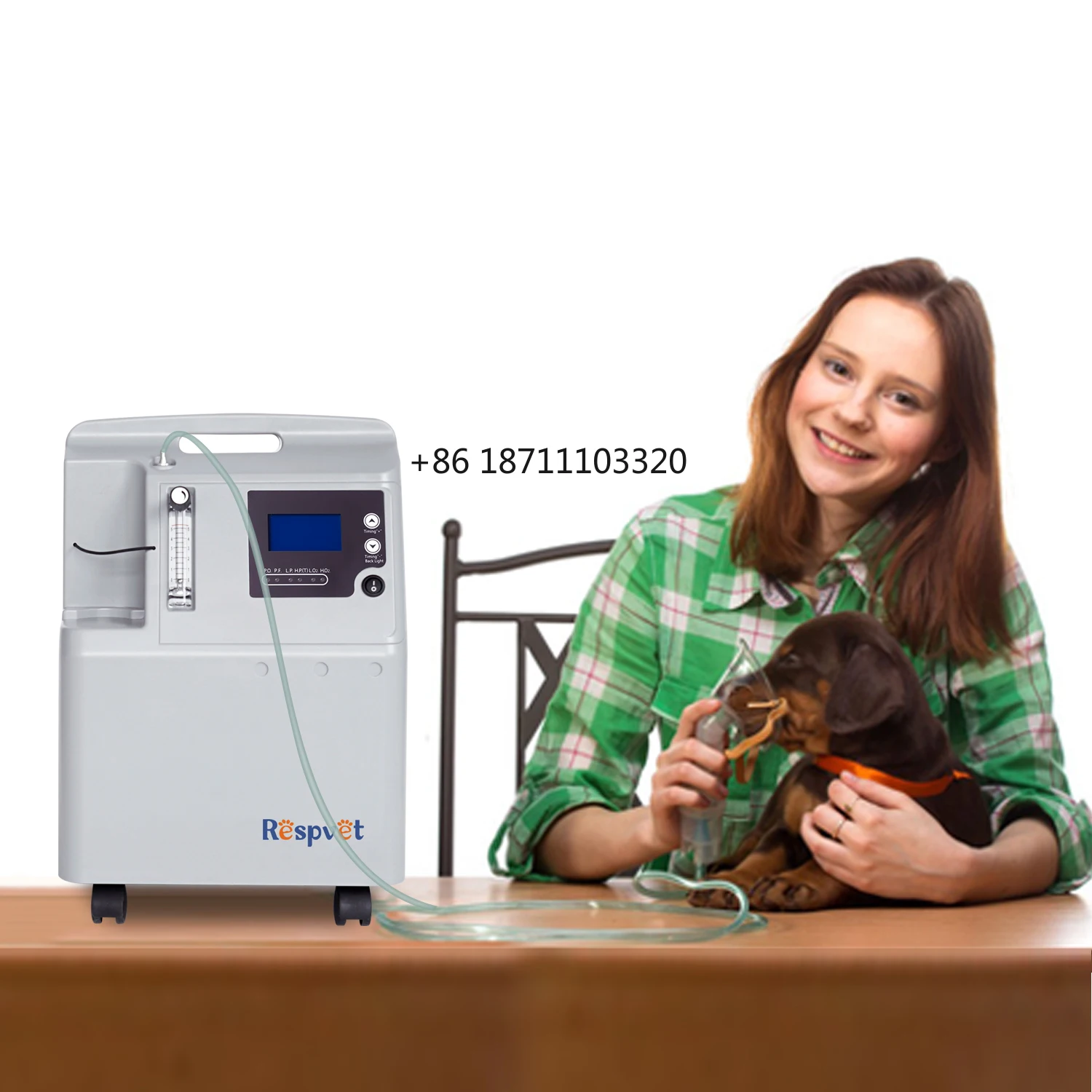 

Veterinary medical equipment oxygen therapy for hospital animal pets