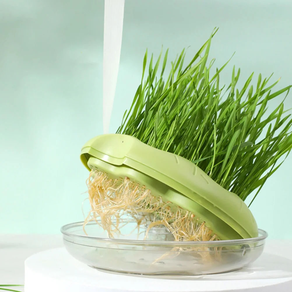 

2Pcs Cat Grass Planter Hydroponic Soilless Planting Box Easy Clean Catnip Plant Pot Household Nursery Cat Grass Box