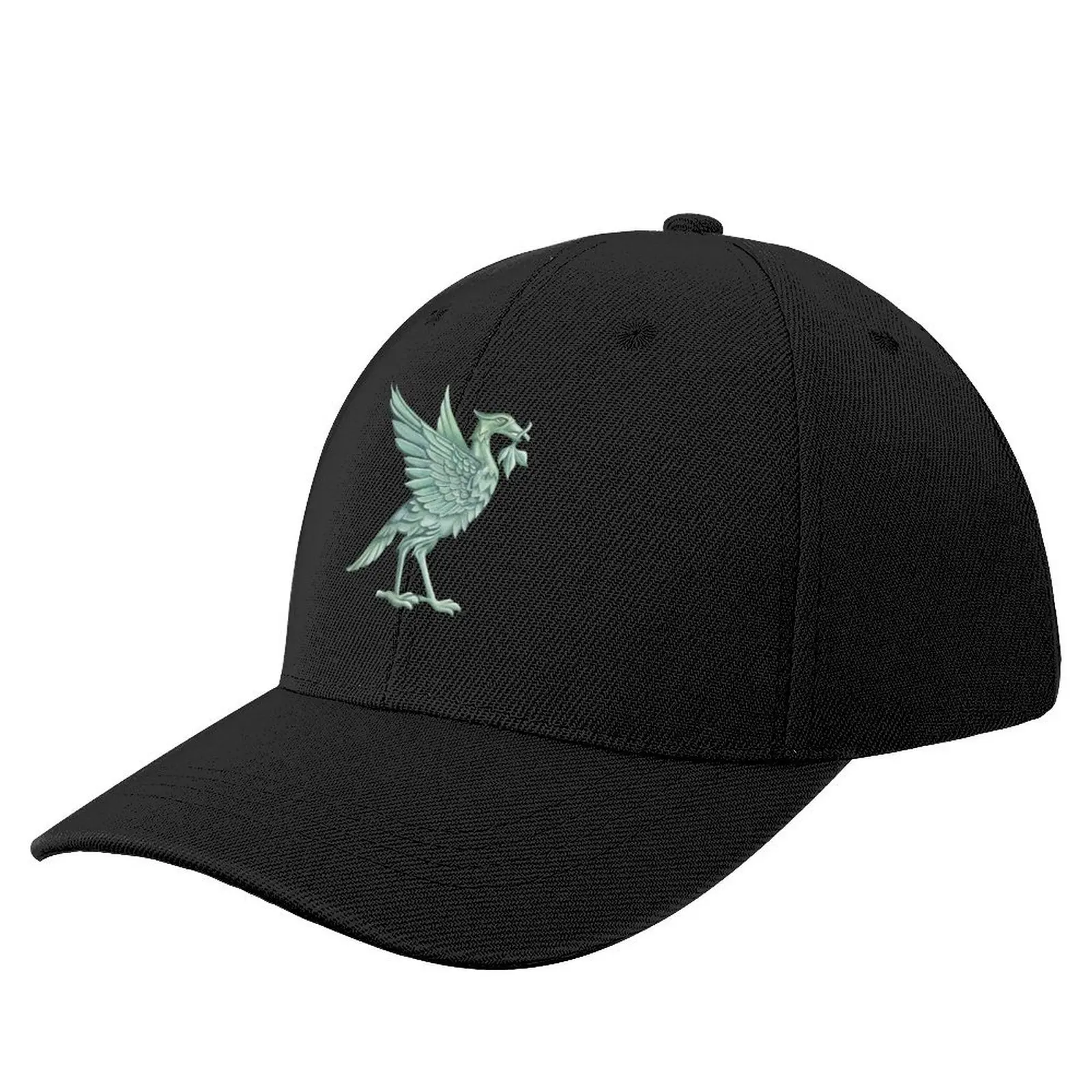 Liverpool Liver Bird Baseball Cap funny hat derby hat Boy Women's