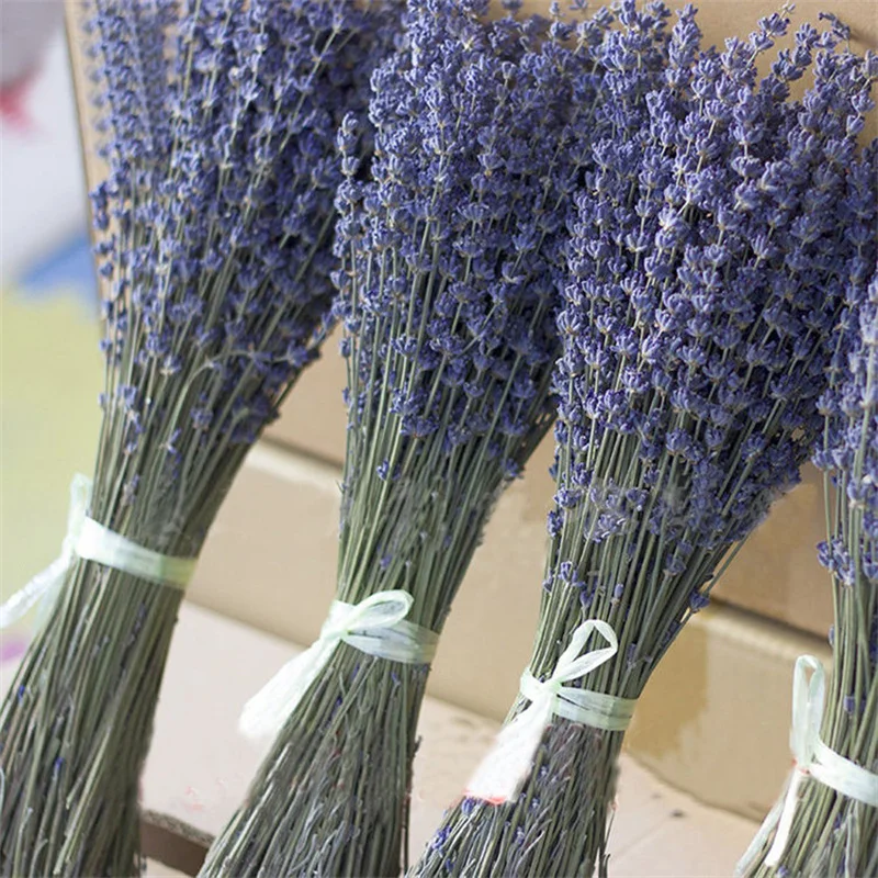 Natural Real Dried Flower Lavender French Dried Lavender Bouquet For Decoration Home Wedding Decor DIY Candles Mold Epoxy Resin