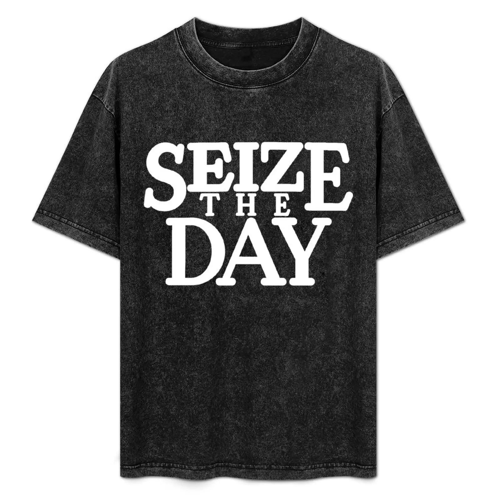 

Seize the Day T-Shirt Work Wear Simple Tee Shirt