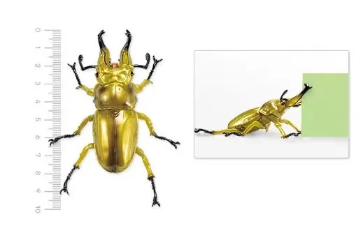 Bandai-figura DE ACCIÓN DE Lucanidae, juguete de ensamblaje de insectos biomiméticos, modelo de Gacha genuino japonés a escala, modelo cognitivo Animal