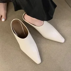 New Women's Slippers 2024 Fashion Baotou Pointed High Heels, Wearing Sandals Outside, Summer Women's Sandals