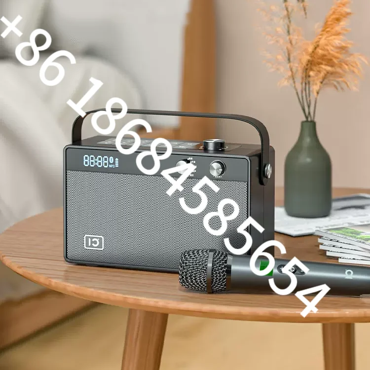 

SHIDU New Fashion Home Gadgets 30W Hifi Sound Portable Smart Wireless Karaoke Speaker With Microphone