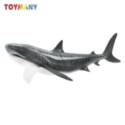 Toymany Simulation  Tiger Shark Ocean Animal Model Toy Mini Figures Dolls Action Figurines Toys for Children Gift