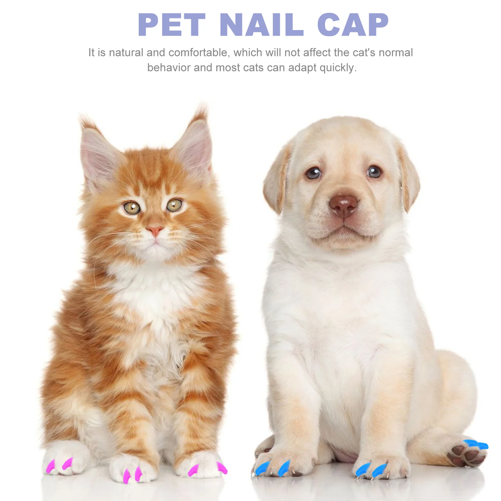 80 Pcs Pet Nail Set Cat Claw Covers Protectors Tips Cap Caps Assorted