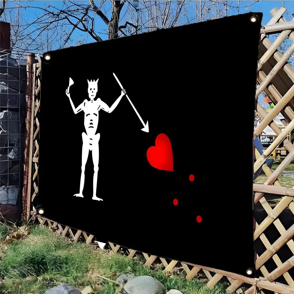 Edward Low jolly roger Flags Daily four ring borderless design indoor outdoor decor easy hang install