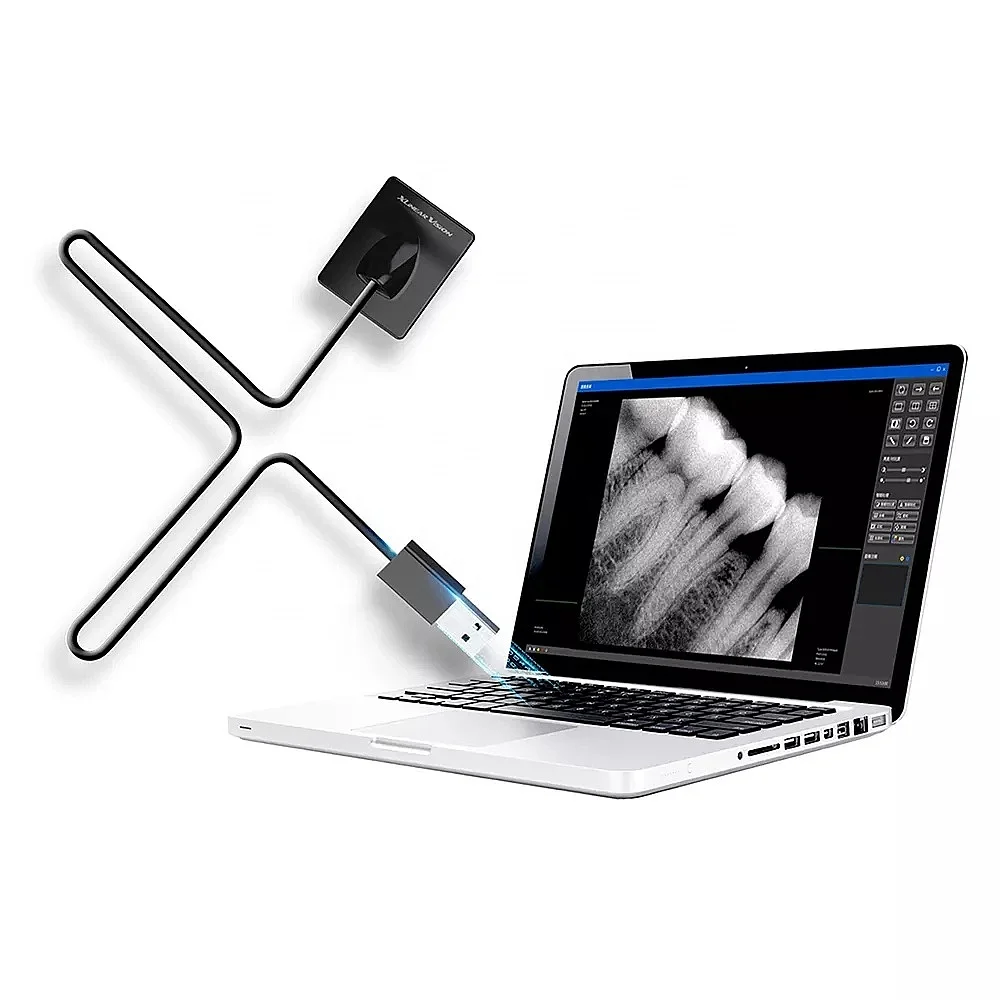 Adult 3M X-Ray Oral Sensor Large Digital RVG Dentals X-Ray Sensor Human Photon Counting 30x37mm