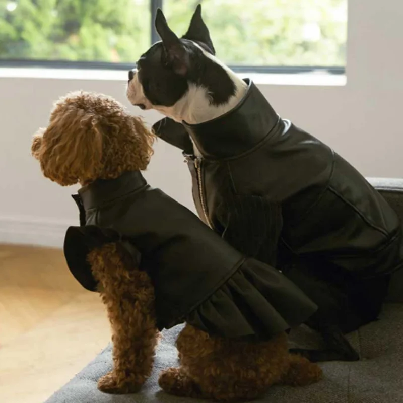 Leather Coat for Pet Lovers, Small and Medium-sized Dog, VIP Bixiong, Pomegi Doll, Spring and Autumn Wear