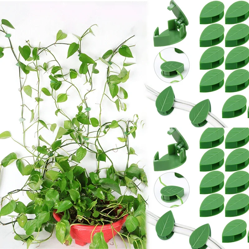 Invisible Plant Clip Climbing Wall Fixture Rattan Vine Bracket Fixed Buckle Leaf Clips Traction Holder Garden Опора Для Растений