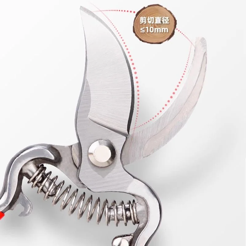أدوات الحدائق مقصات تقليم الحدائق مقص تشذيب شفرة فولاذية عالية الكربون لأشجار الفاكهة بونساي فروع الزهور