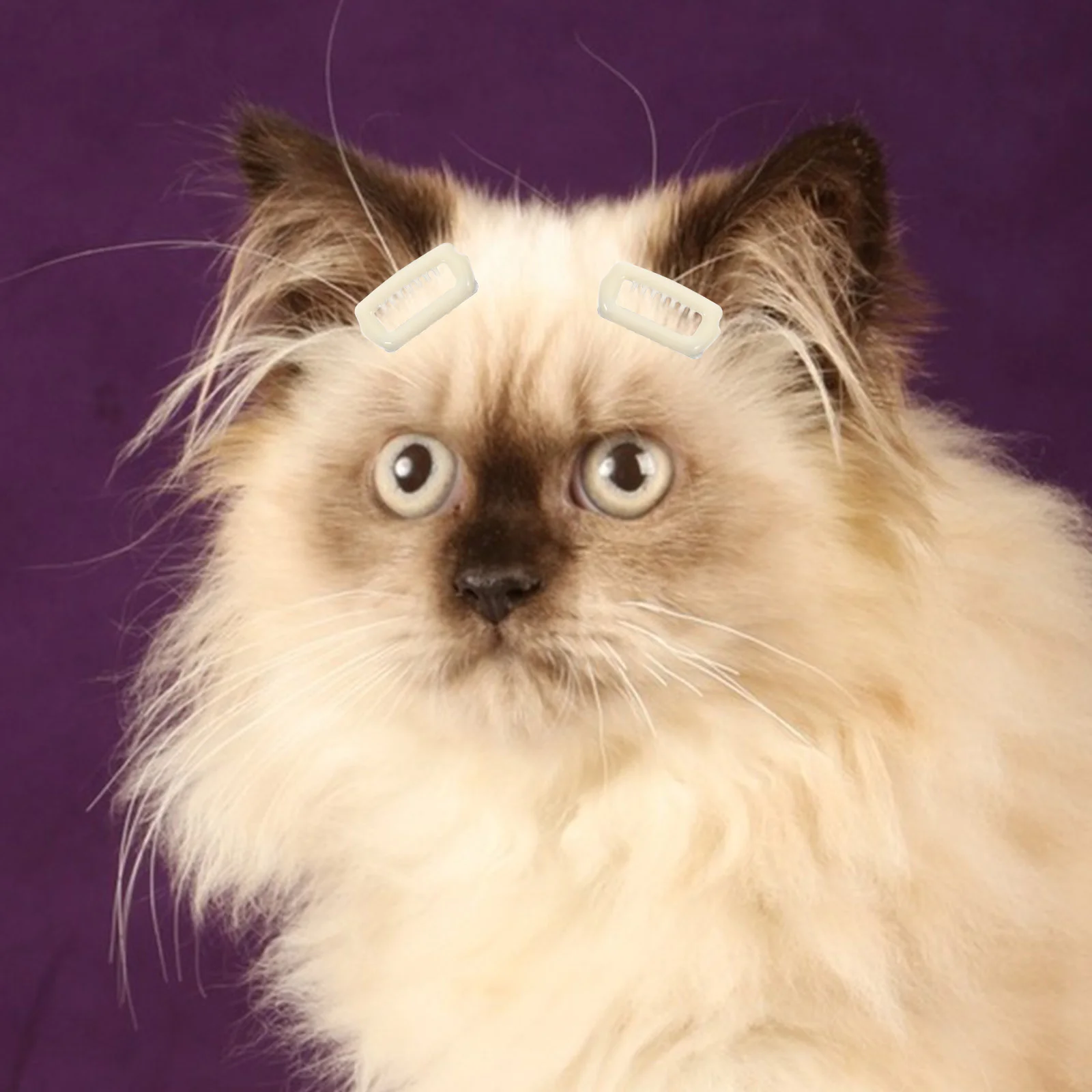 

5pcs Small Dog Hair Clips Puppy Barrettes Cats Hair Pin Clips Decorative Hair Clips For Chinchillas Dog Cat Hair Accessories