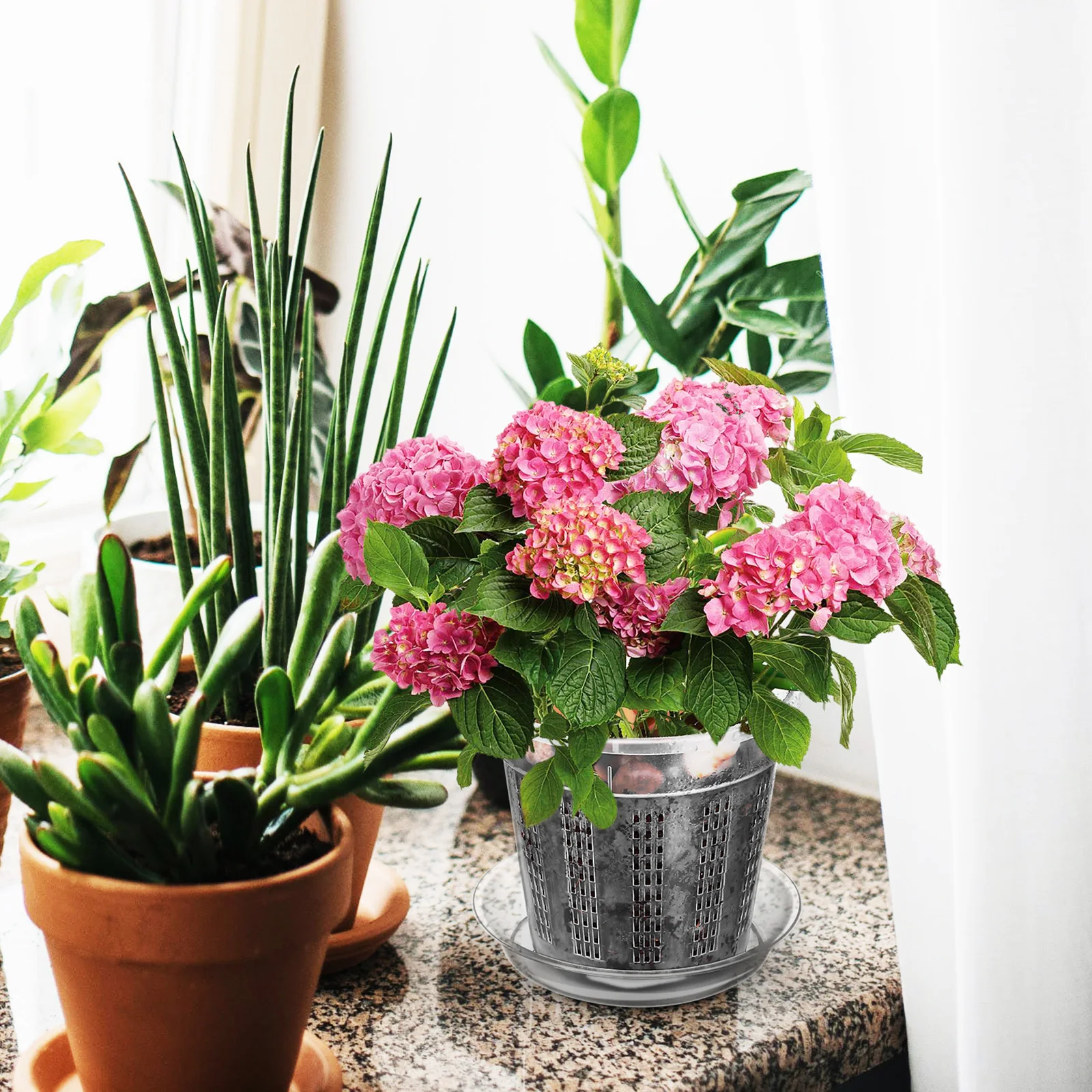 

8Pcs Hollow Flower Pots Clear Plastic Breathable Plant Root Control Pot for Orchids Succulents Indoor Outdoor Garden