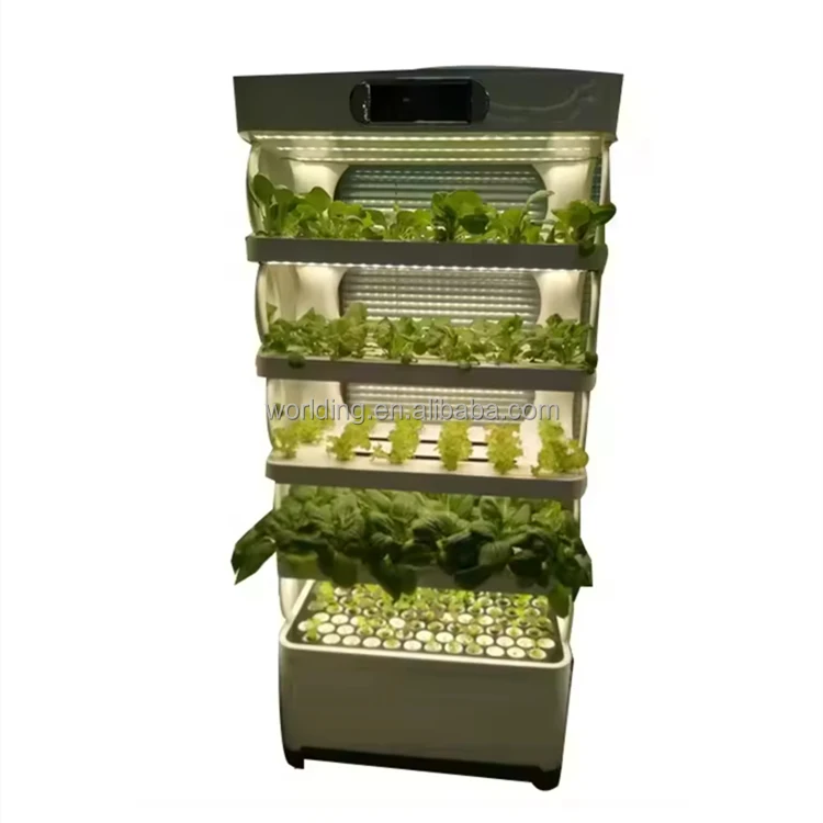 Intelligent Aeroponic Vegetable Planting Machine with Pump Home Indoor Soilless Cultivation Equipment