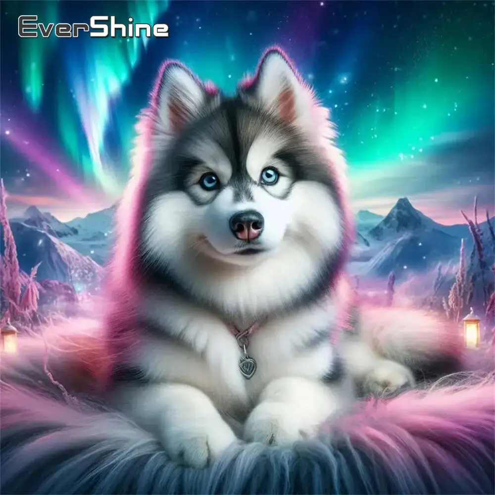 Evershine Diamant-Gemälde, Hund, Tier, Cartoon, komplett, quadratisch, rund, Diamant-Mosaik, Badezimmer, DIY-Bastelset, Heimdekoration
