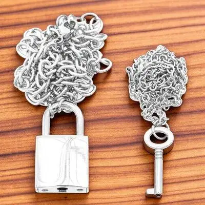 

2Pcs Punk Style Lock Key Pendant Necklace Clavicle Chain Metal Alloy Gift for Women Men Metal Alloy Necklace Clavicle Chain