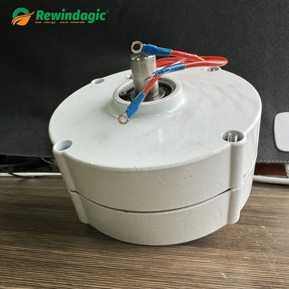 Permanent Magnet Generator 1000W Wind Turbine Generator 12V 24V 48V PMG Water Turbine Hydro Alternator Free Energy Camping 1KW